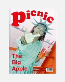 Picnic Magazine