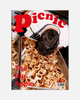 Picnic Magazine