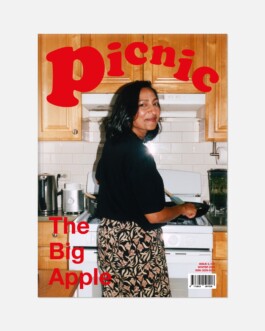 Picnic Magazine